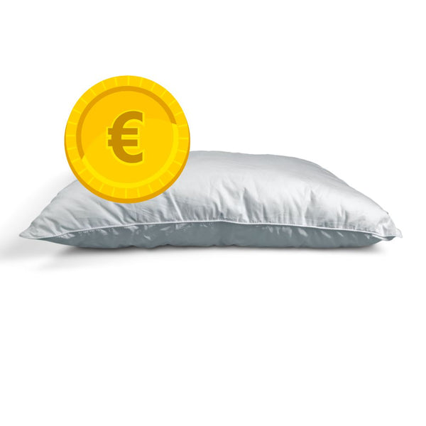 il miglior cuscino cervicale con sopra una monetina con lo stemma dell'euro